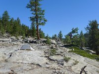YosemiteCreek 046 : YosemiteCreek